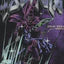 3033 - YU-GI-OH!® CUT-OFFS